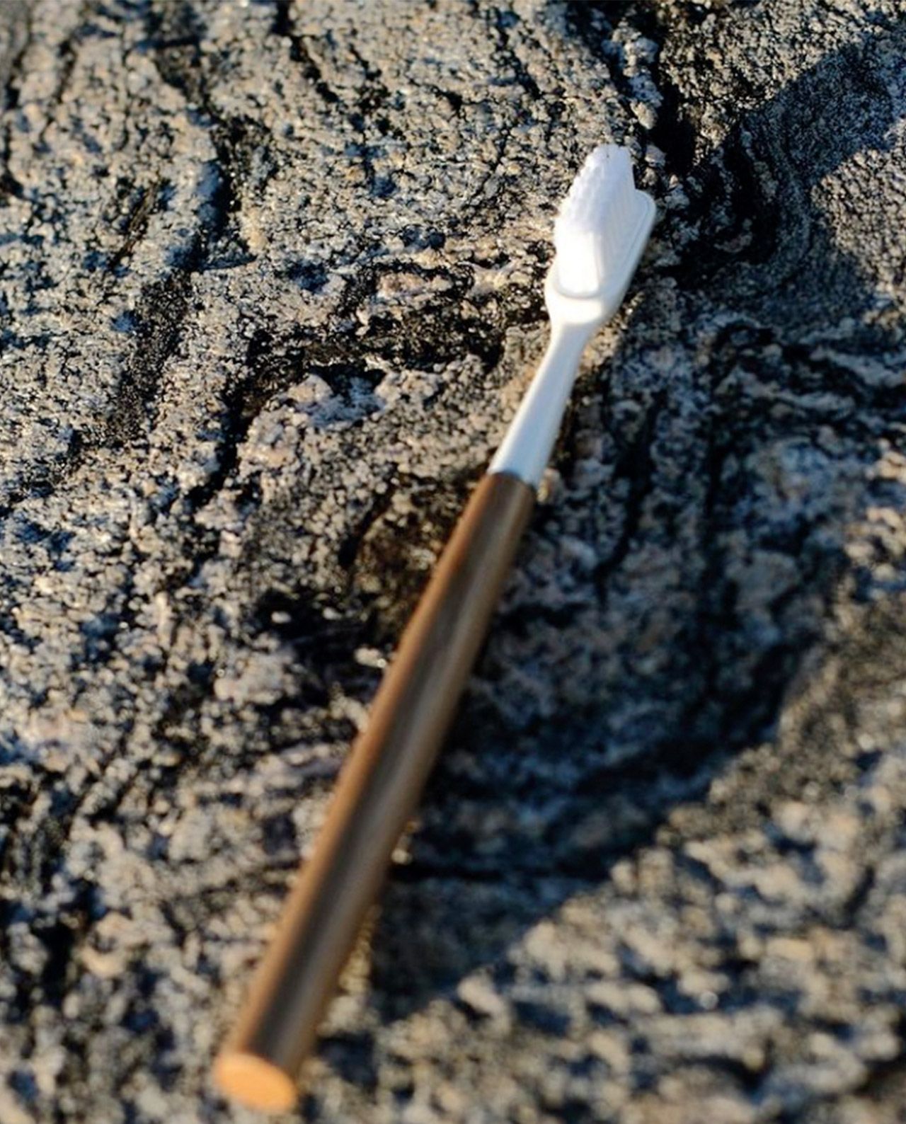 marché commun caliquo brosse à dents écologique en bois fabriquée en France rechargeable zéro déchet chêne