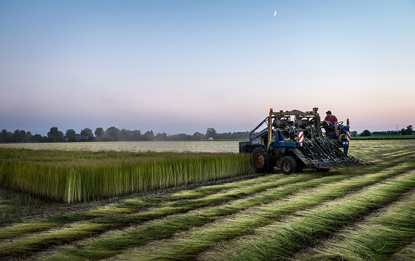 marche commun matieres naturelles vetements accessoires linge maison responsable lin biologique ecologique we are linen