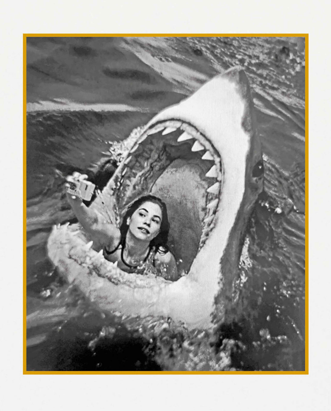 Marché Commun tshirt en coton bio requin bask in the sun