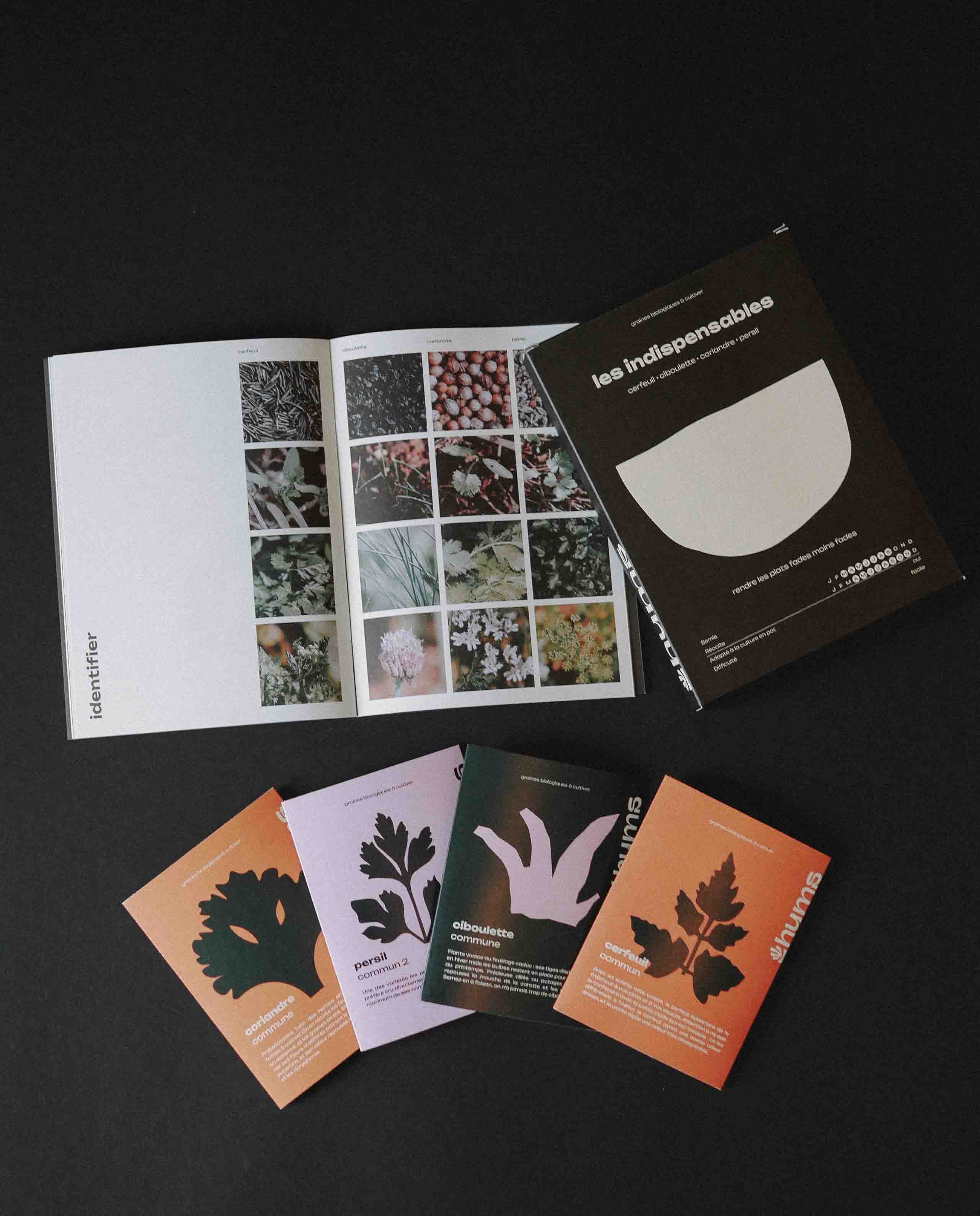 Marché Commun kit assortiment graines les indispensables hums bio