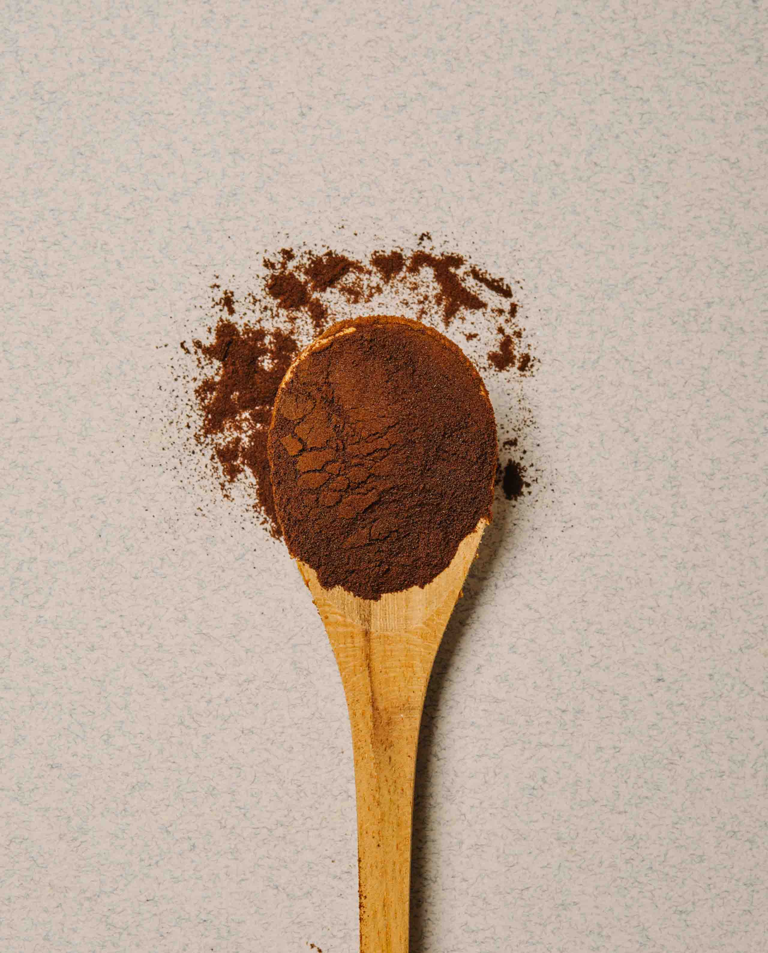 Poudre de Chaga bio 60g