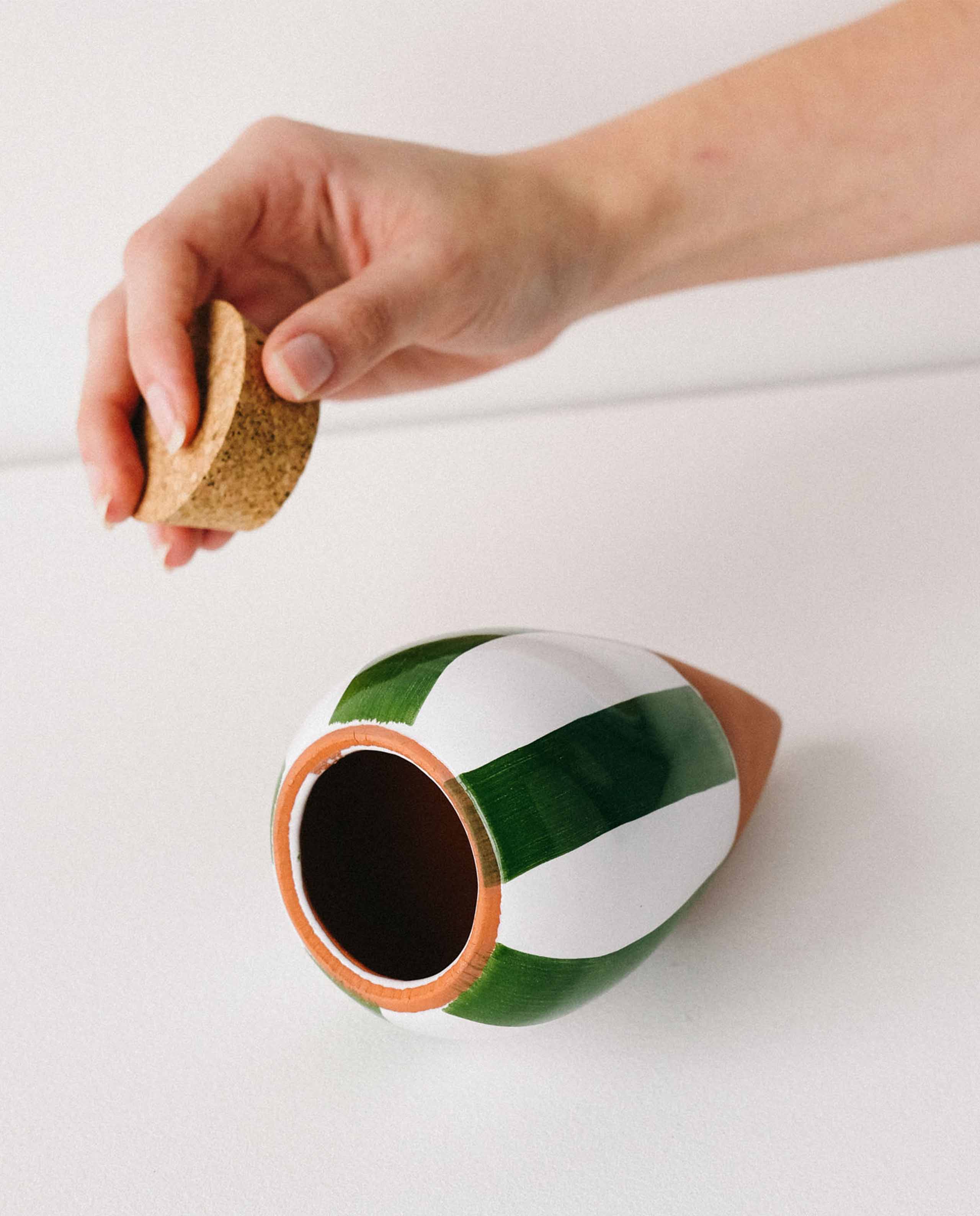 Marché Commun Olla Plantes Rayé Vert et Blanc Pépin