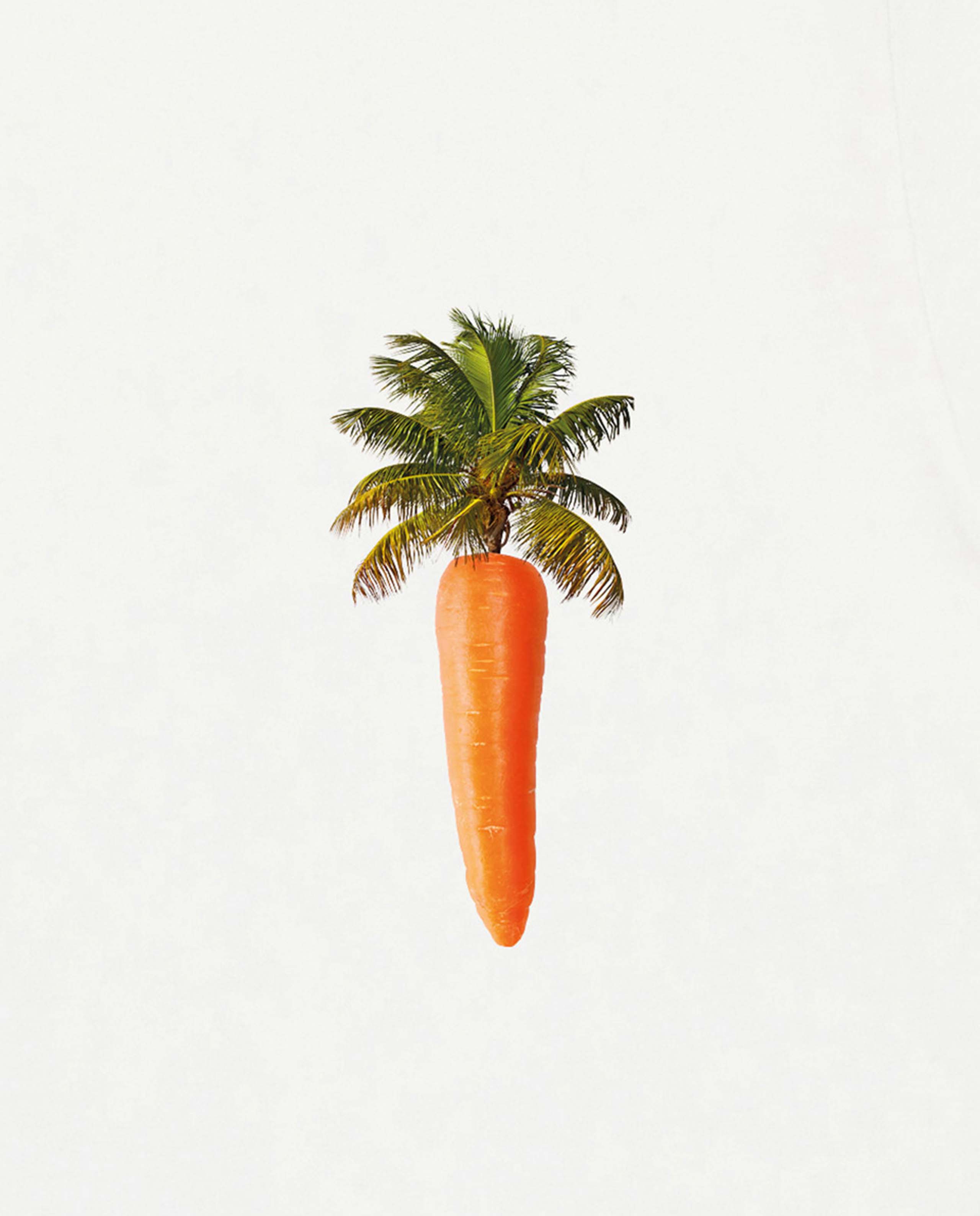 T-shirt imprimé en coton bio